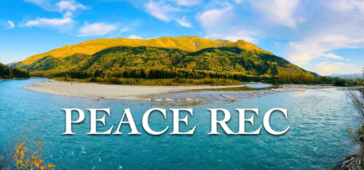 PEACE REC DIGITAL ART V22