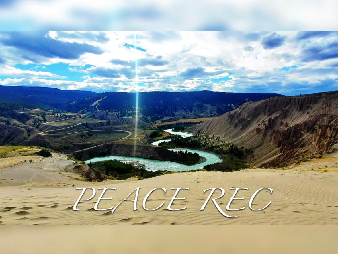 PEACE REC DIGITAL ART V10