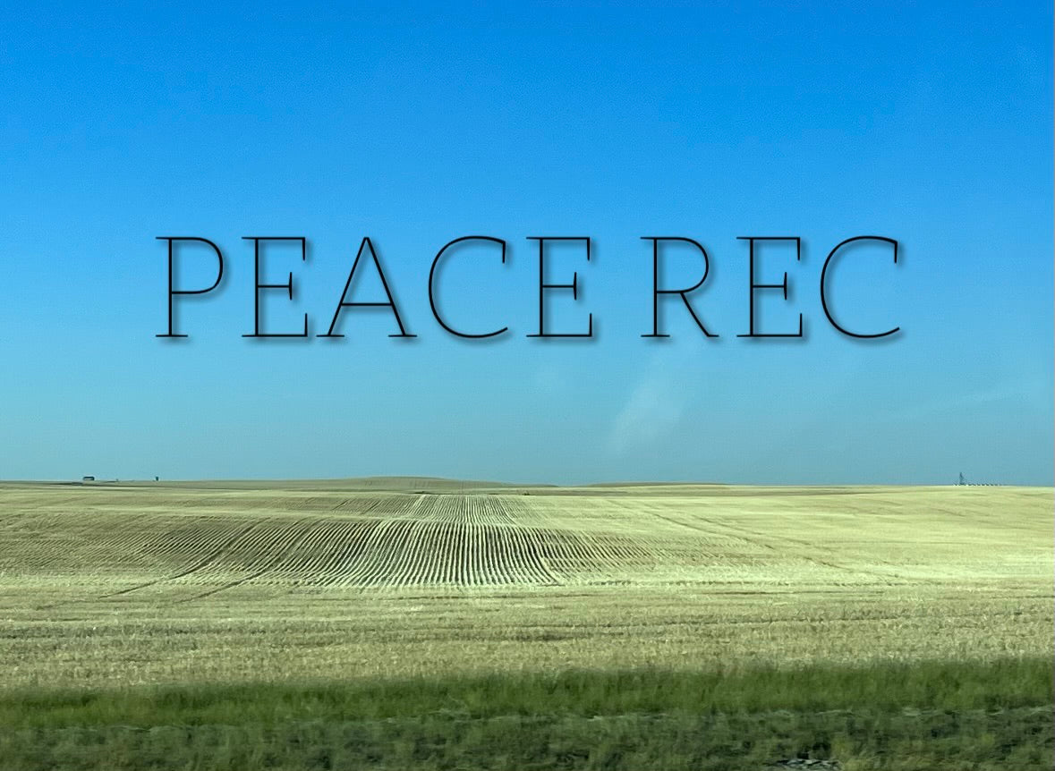 PEACE REC DIGITAL ART V5