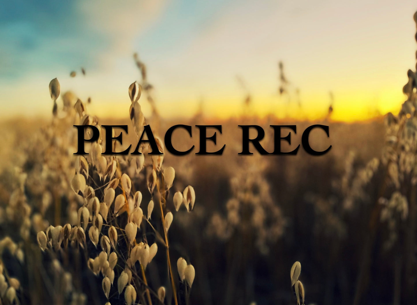 PEACE REC DIGITAL ART V16