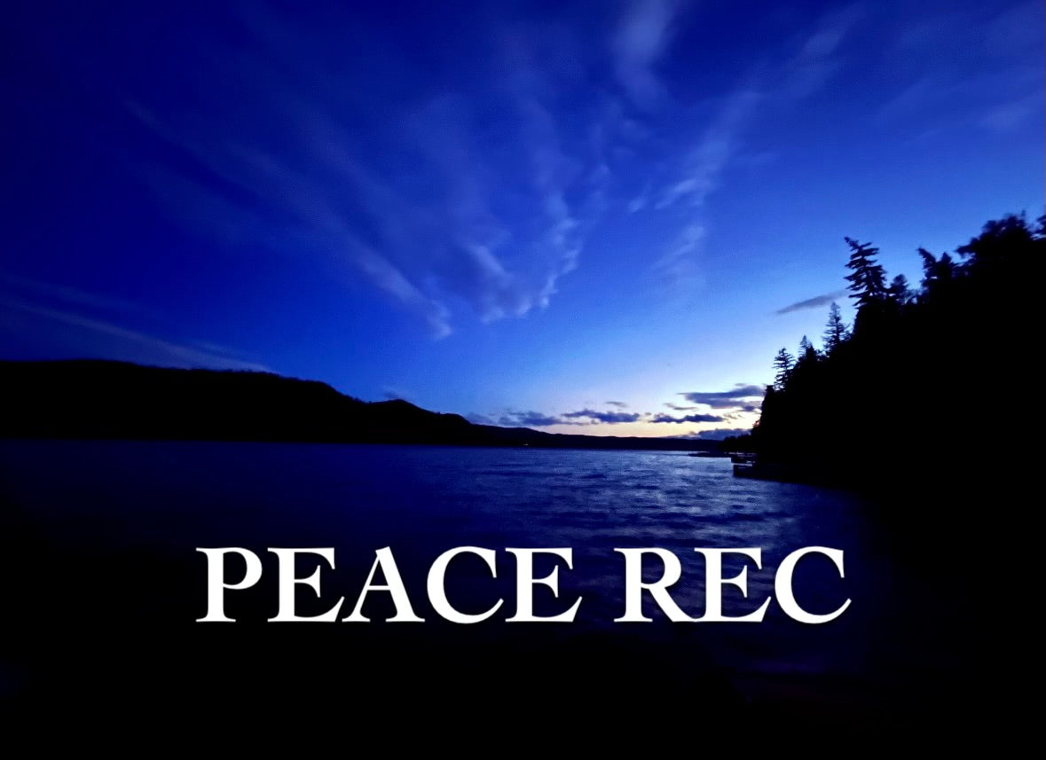 PEACE REC DIGITAL ART V24