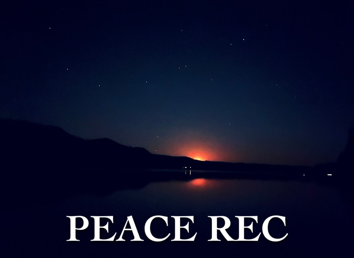 PEACE REC DIGITAL ART V12