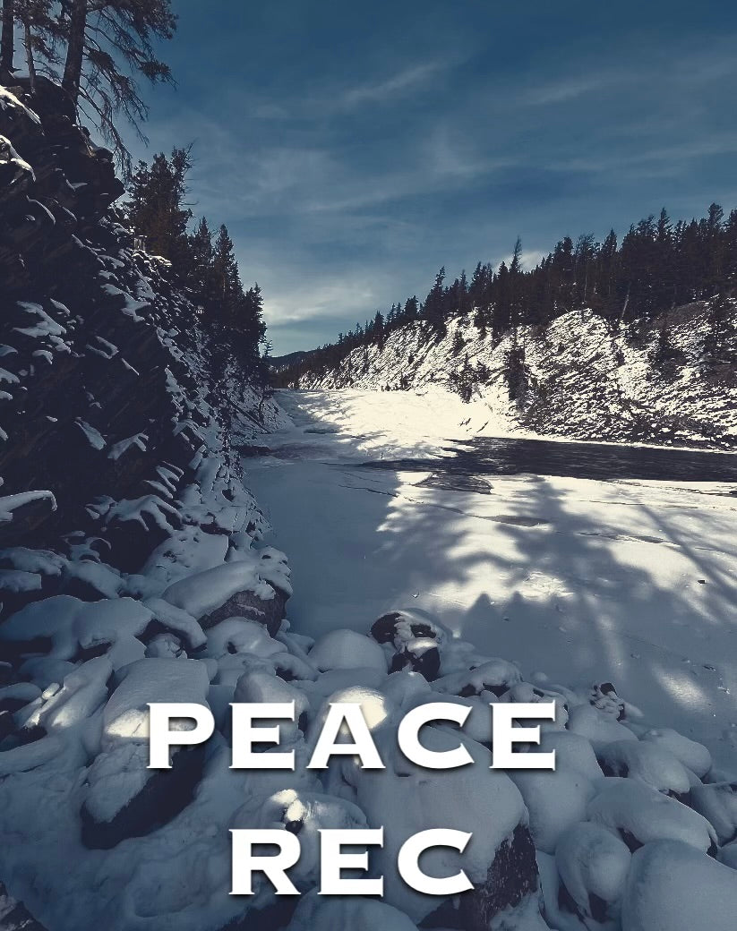 PEACE REC DIGITAL ART V11
