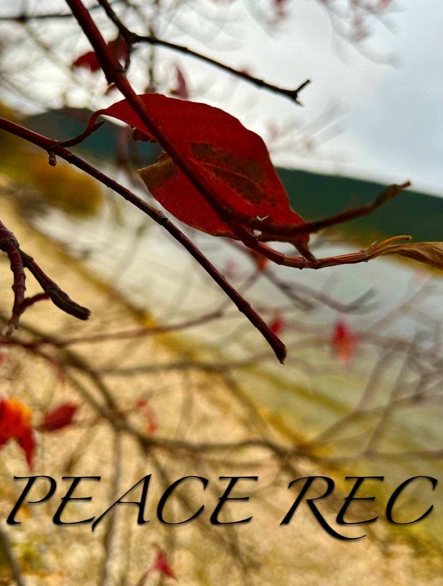 PEACE REC DIGITAL ART V8