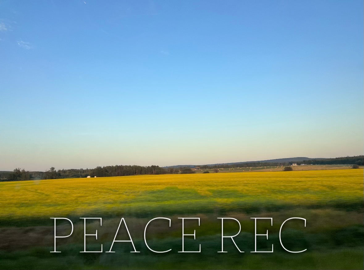 PEACE REC DIGITAL ART V6
