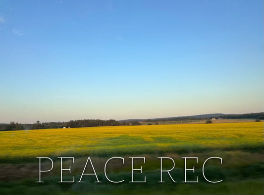 PEACE REC DIGITAL ART V6