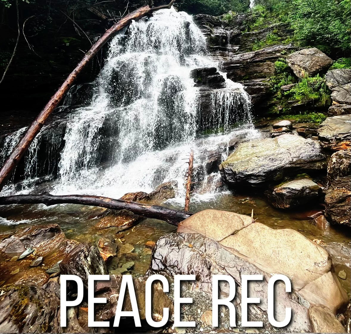PEACE REC DIGITAL ART V1