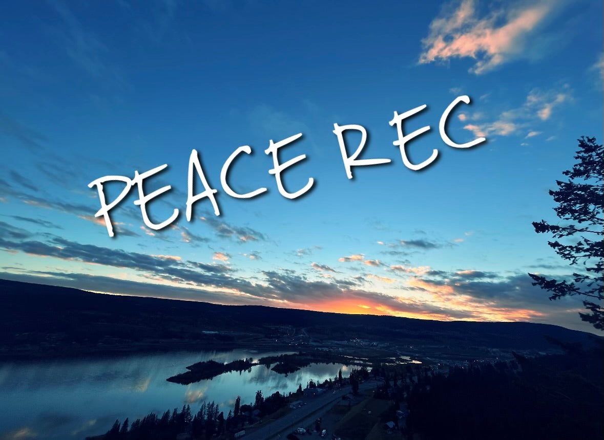 PEACE REC DIGITAL ART V3