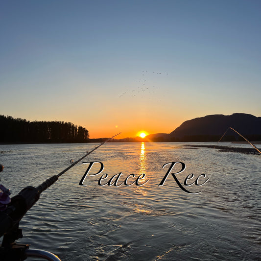 PEACE REC DIGITAL ART V13
