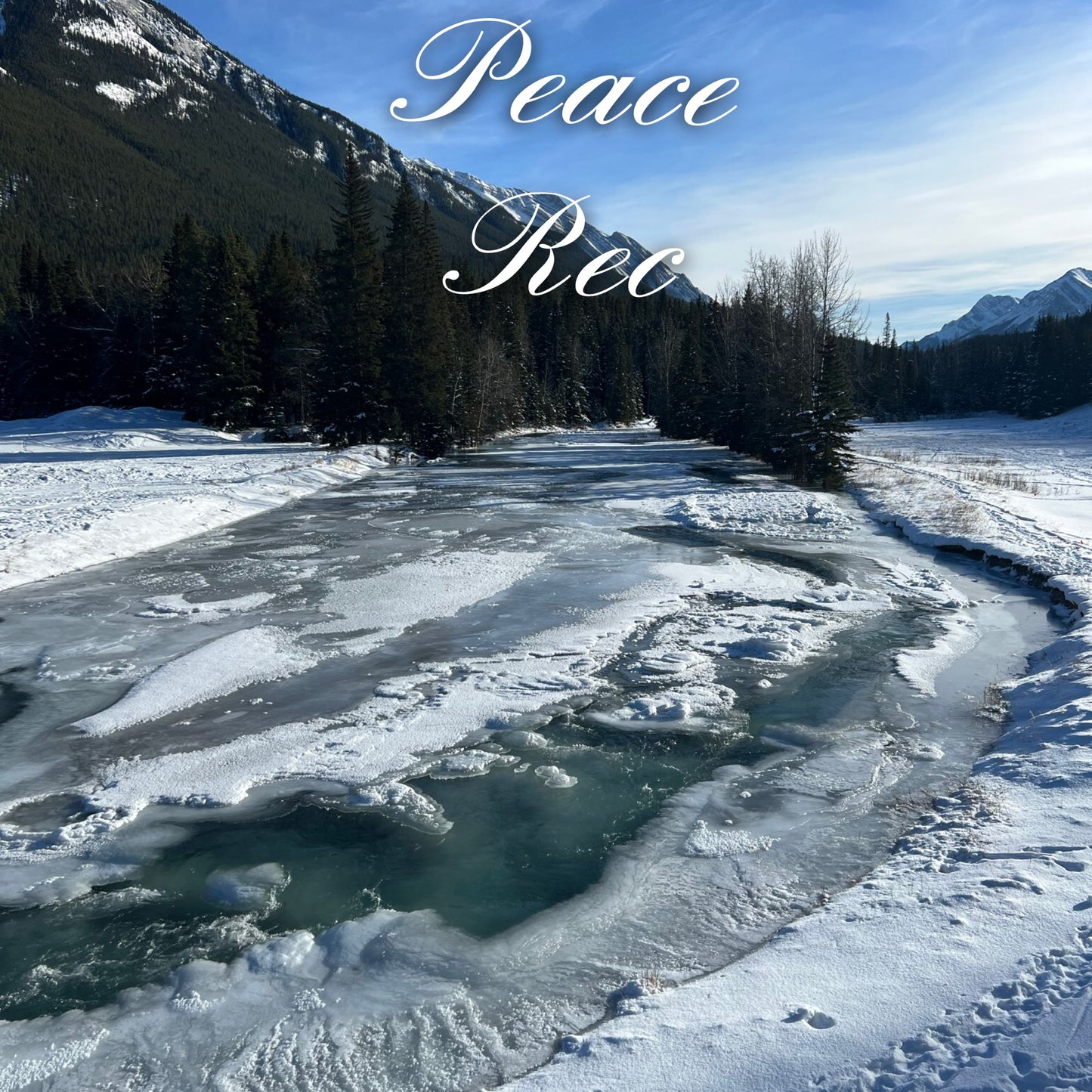 PEACE REC DIGITAL ART V14